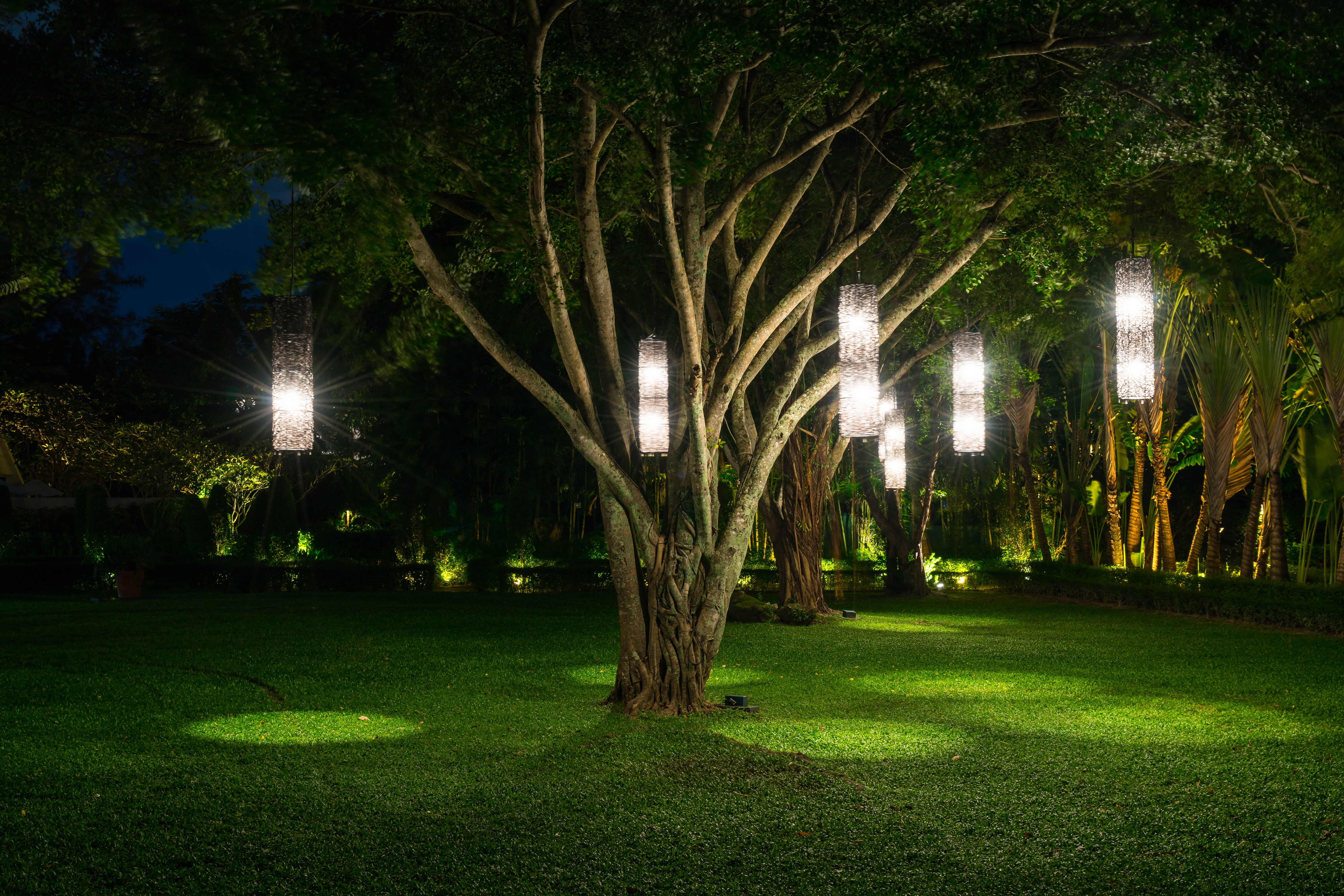 Solar Tree Lights